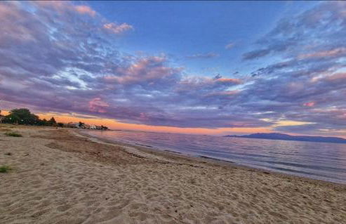 Garden Beach House - Photo 52