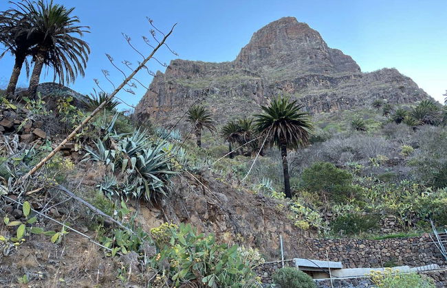 Senderismo por el interior del Parque Rural de Teno - Foto 20