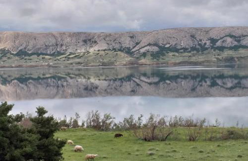 Apartment Ante K A1 - Photo 12