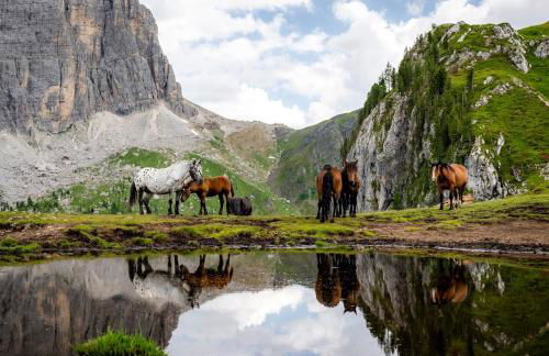 Esperienza Unica al Passo Giau - Appartamento con Vista Panoramica - Foto 27