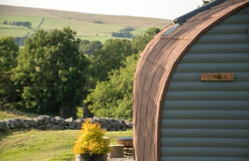 Wild Northumberland Glamping - Foto 41