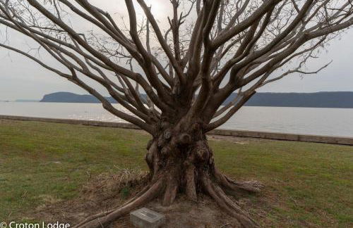 Croton Quarters - Comfortable Apartments, NYC close - Foto 24