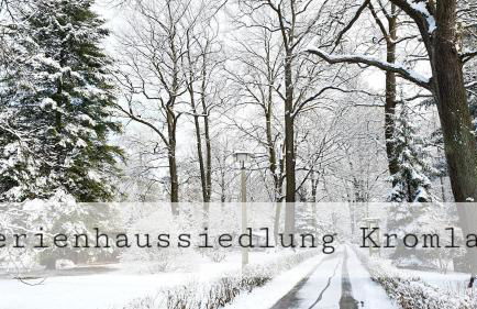 Blütenhaus im Rhododendronpark 5 min zum See - Foto 26