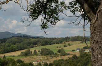 Dziki domek - Foto 21