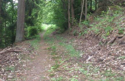 Ferienwohnung Talgrund "Im Grünen" - Foto 29