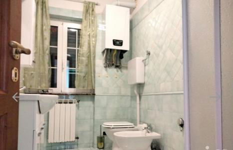 Red Squirrels - Foto 9