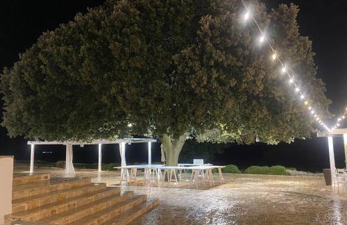 Masseria Torre Di Nebbia - Foto 62
