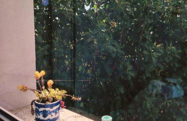 Casa d'Arcã - Foto 48