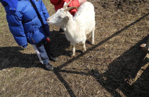 Agriturismo Piccolo paradiso - Foto 54
