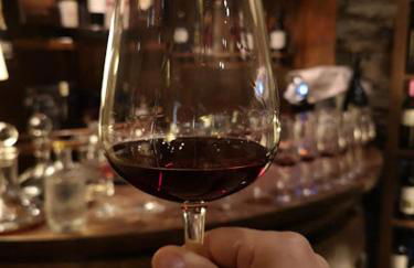 Quinta da Casa Cimeira, Guest House, Wines & Food - Foto 14