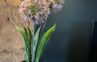 Luxury Barn with 3 ensuite Bedrooms Nr Southwold - Foto 65