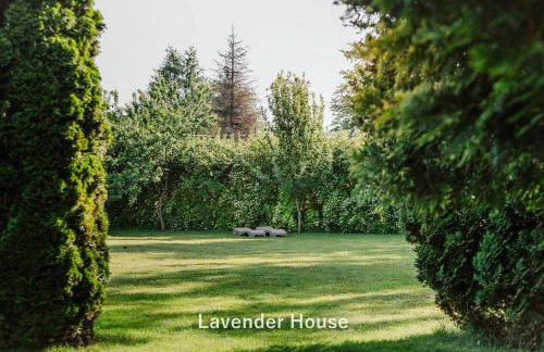 Lavender House - Foto 21