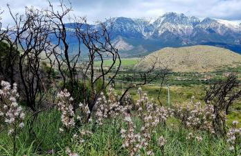 Pollino House - Foto 21