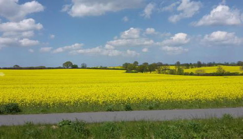 Ferienhaus Leja - Foto 2