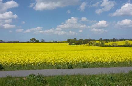 Ferienhaus Leja - Foto 2