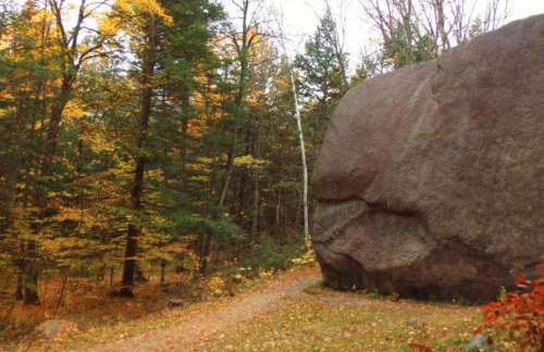 Cozy in the Woods - Foto 29