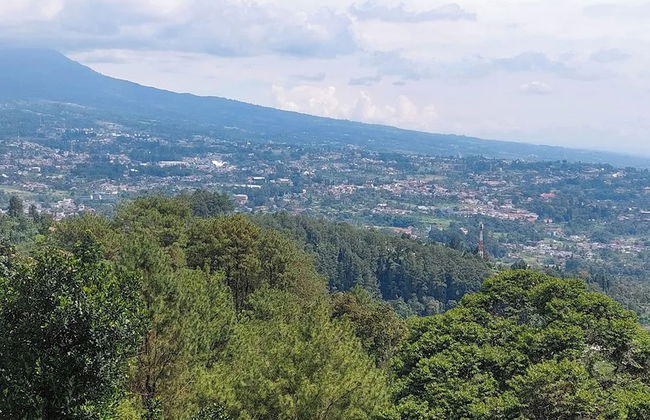 Villa Zoya Montana - Foto 40