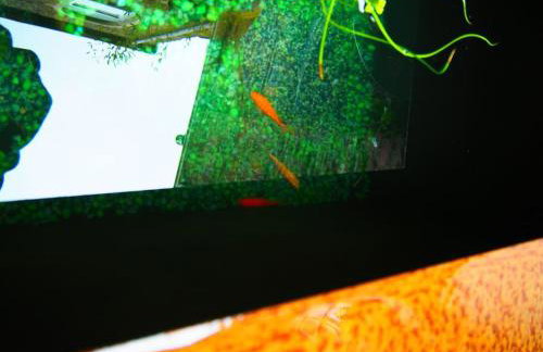 Unique space in heart of Frome - Foto 17