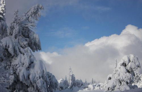 Ferienwohnung Kuckuckslockennest - Foto 15