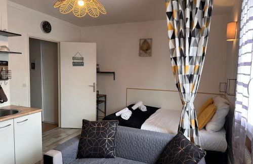 ORLEANS CENTRE PROCHE GARE - Appartement fonctionnel Résidence calme Parking privé gratuit - LE CENTRAL ELEGANCE - Foto 13