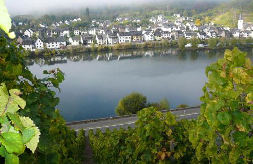 Ferienwohnungen im Moseltal - Foto 35