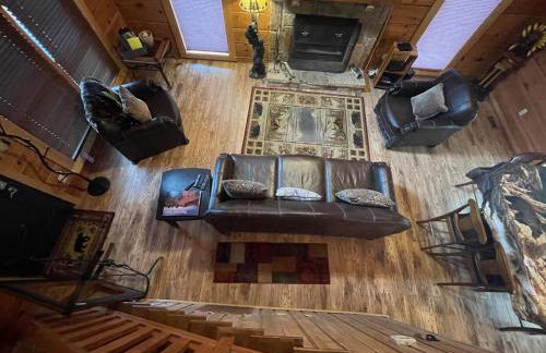 Bears Among Us - Foto 9