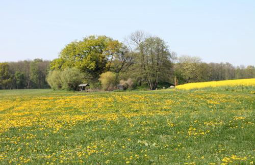 Das kleine, gemütliche Ferienhaus - Foto 27