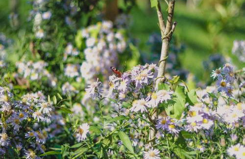 Charming Stay in Sveti Križ - Foto 29