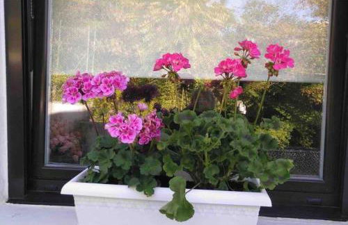 Doma Etxea Donostia-San Sebastian ESS02683 - Foto 21