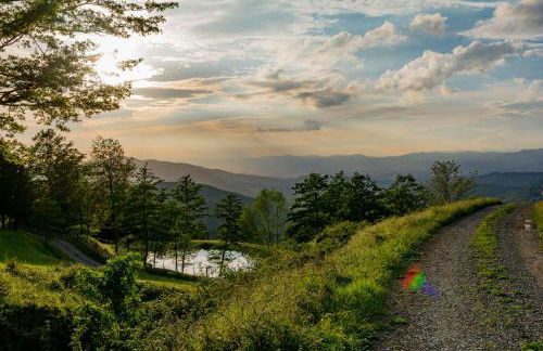 Agriturismo Casapasserini - Foto 29