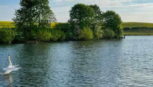 Stewards Bothy - Uk48303 - Foto 5