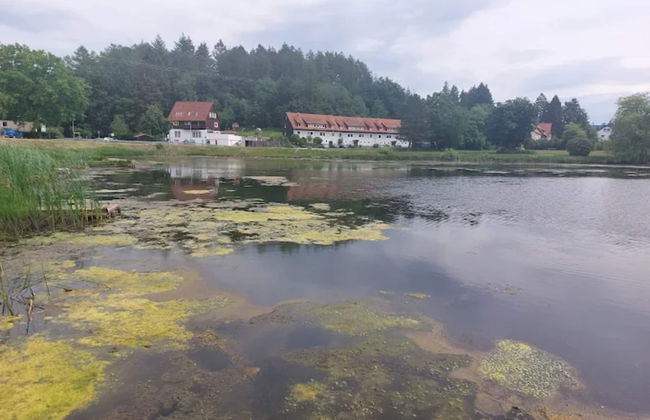 Charming Holiday Residence in the Harz With Wonderful Excursion Opportunities - Foto 73