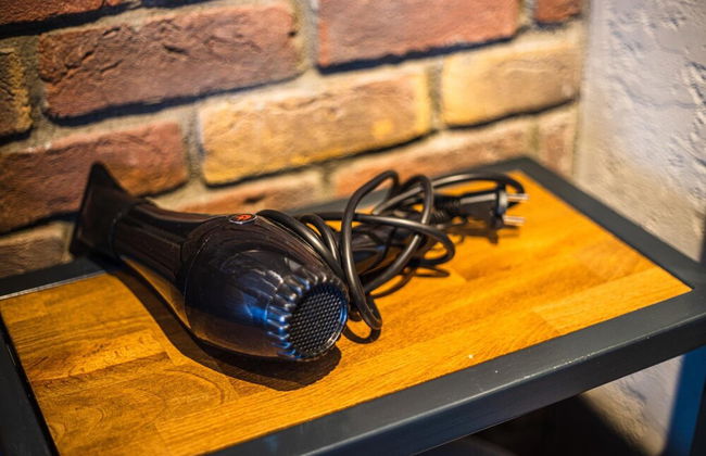 Mansion Gorki - Foto 58