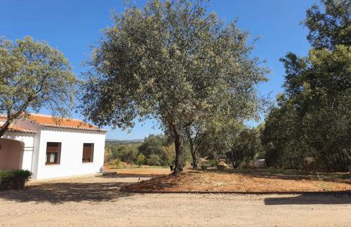 CASA RURAL MONTE DE AJUDA - Foto 11