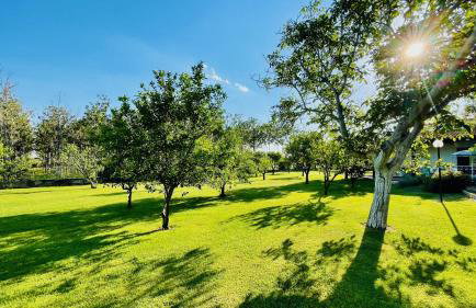 Villa Irene Pisticci-Matera - Photo 2