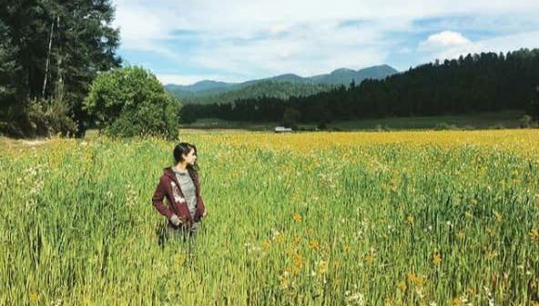 Conhecendo as paisagens verdes durante a trilha