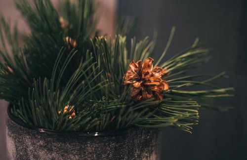 Aparthotel Bacher - Photo 37