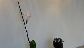 Casa ALOHA - SFS - Foto 2