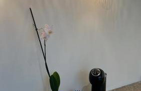 Casa ALOHA - SFS - Foto 2