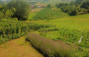 Apartman 2 - Foto 32