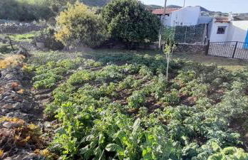 CASA LA LUNA - Foto 13