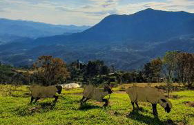 Rancho do Paioleiro - Foto 21