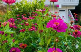 Domus Creta - Foto 13