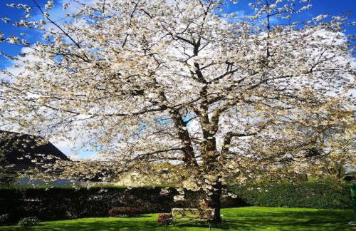 Gustow Garden Retreat - Foto 40