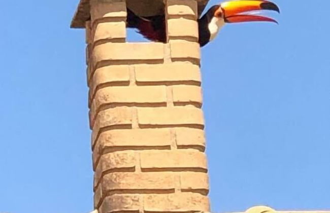 Sítio Refúgio do Alto - Photo 49