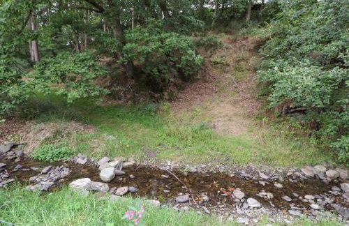 Nant Y Celyn - Foto 43