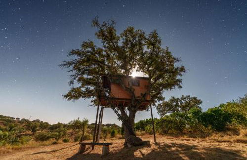 Corvatos Casas do Monte - Foto 10