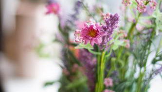 Comfortable 3-Bed House - Foto 2, Other