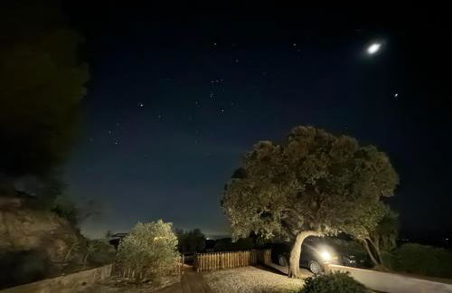 Finca El Sueño Andaluz - Foto 37