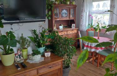 Zielona Przystań - Foto 29